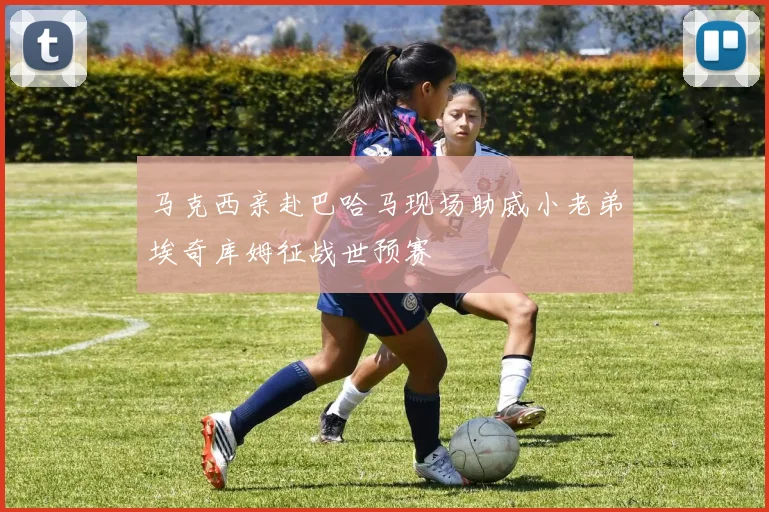 马克西亲赴巴哈马现场助威小老弟埃奇库姆征战世预赛
