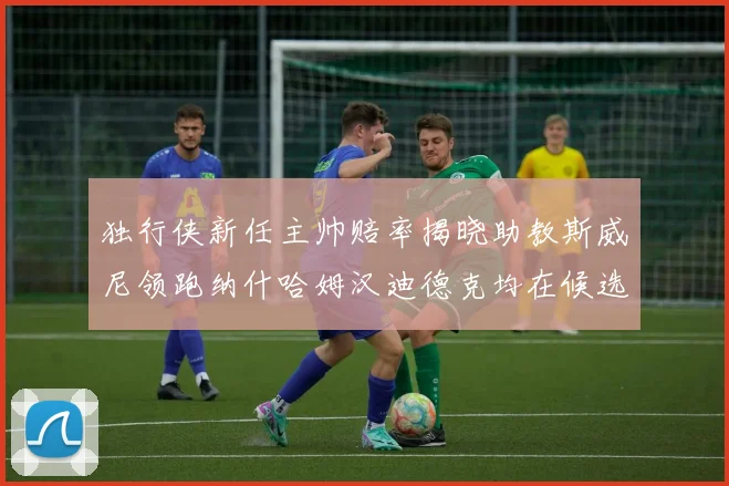 独行侠新任主帅赔率揭晓助教斯威尼领跑纳什哈姆汉迪德克均在候选之中
